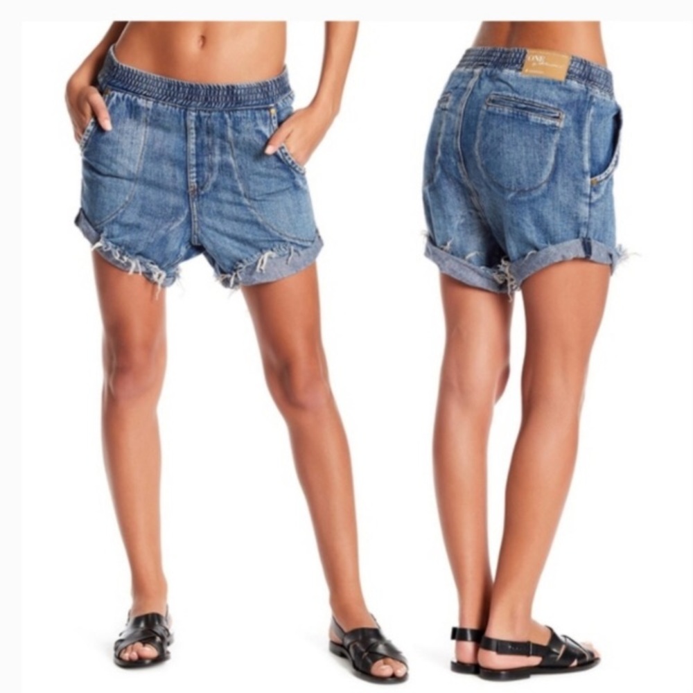 One teaspoon grey denim shorts